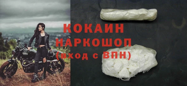 индика Аркадак