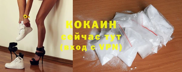 индика Аркадак