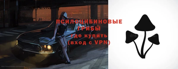 индика Аркадак