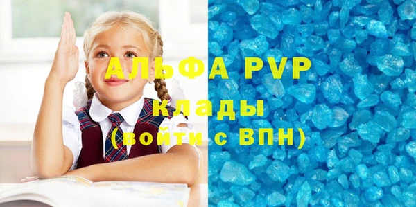 индика Аркадак