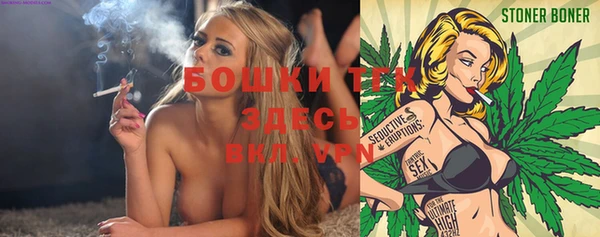индика Аркадак